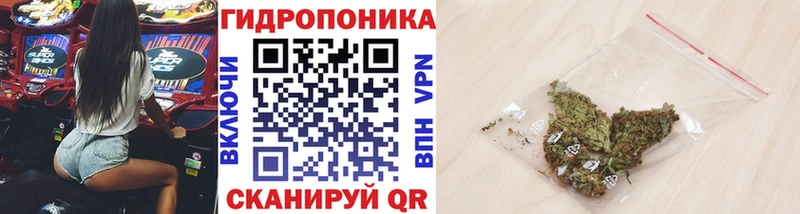 Канабис планчик  Купить  Харовск 